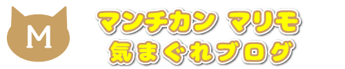 バースデーケーキ型の爪とぎ にゃんキューブ アウトレットで送料無料780円です マンチカンマリモの気まぐれブログ