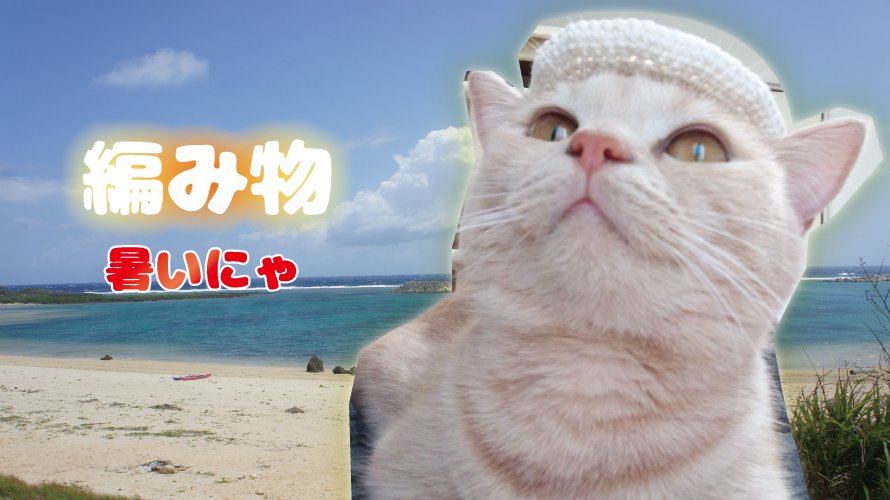 暑いので猫の帽子を編んでみました ねこの編み物本 マンチカンマリモの気まぐれブログ